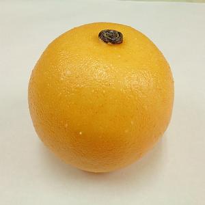 《 フェイクフルーツ 》とりよせ品花びし グレープフルーツ