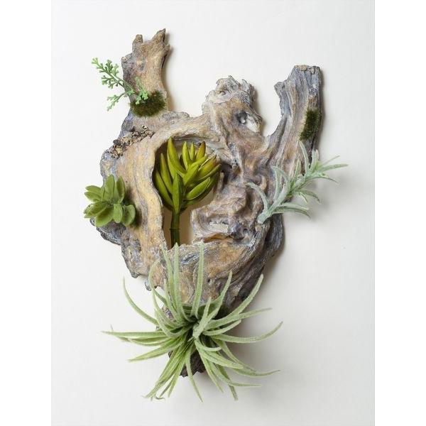 《 造花 グリーン 多肉植物 》◆とりよせ品◆ サッカランウォールピース フェイクグリーン リーフ ...