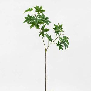 バオバブ 花 ガーデニング の商品一覧 通販 Yahoo ショッピング