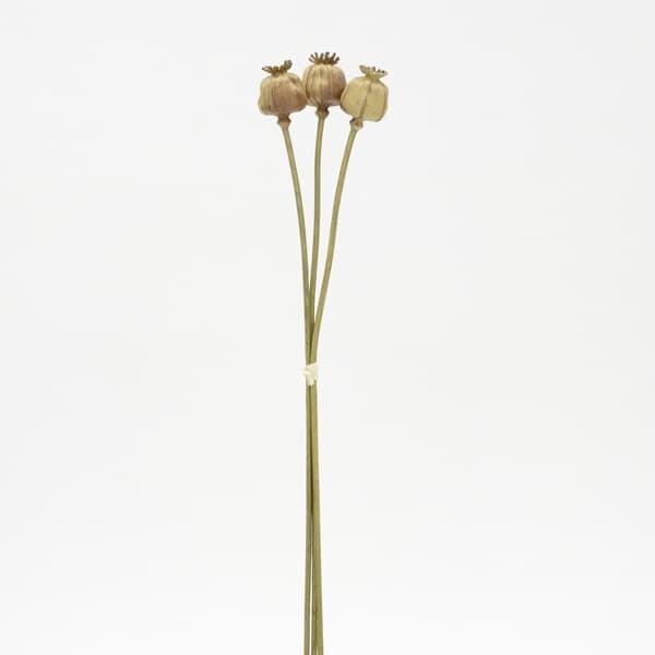 造花 とりよせ品 ポピーシード(3本/束) ケシ ケシの実 インテリア インテリアフラワー フェイク...