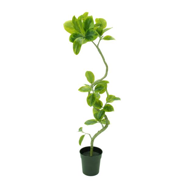 フェイクグリーン 観葉植物 【メーカー直送品】 ツイストアルテシマポット 120cm《代引不可・他商...