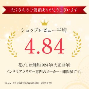 クリスマス ツリー 小さい ドライフラワー ア...の詳細画像2