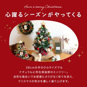 クリスマス ツリー 小さい ドライフラワー ア...の詳細画像4