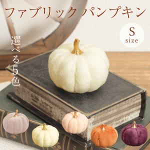ミニかぼちゃ/おまかせ5個セット』ハロウィン 飾り 種類 mix