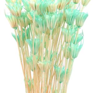 【40%OFF】 ドライフラワー 花材 即日出...の詳細画像1