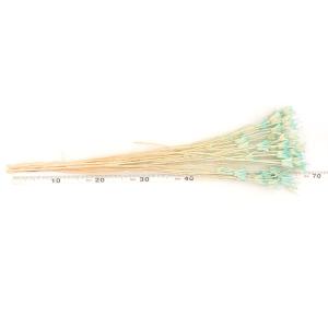 【40%OFF】 ドライフラワー 花材 即日出...の詳細画像2