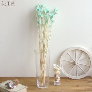 【40%OFF】 ドライフラワー 花材 即日出...の詳細画像4