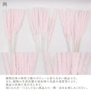 ドライフラワー 花材 即日出荷 GPテールリー...の詳細画像3
