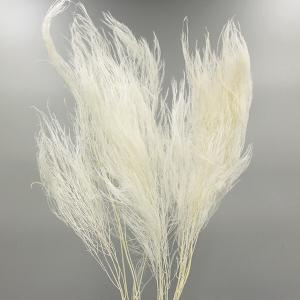 ドライフラワー 花材 即日出荷 【40%OFF...の詳細画像1