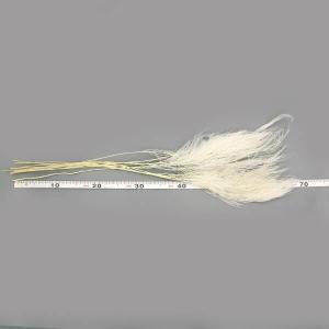 ドライフラワー 花材 即日出荷 【40%OFF...の詳細画像2