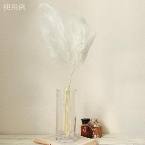 ドライフラワー 花材 即日出荷 【40%OFF...の詳細画像4