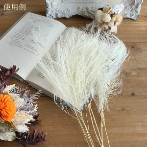 ドライフラワー 花材 即日出荷 【40%OFF...の詳細画像5