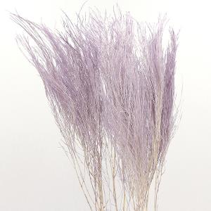 【40%OFF】 ドライフラワー 花材 即日出...の詳細画像1