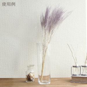 【40%OFF】 ドライフラワー 花材 即日出...の詳細画像4