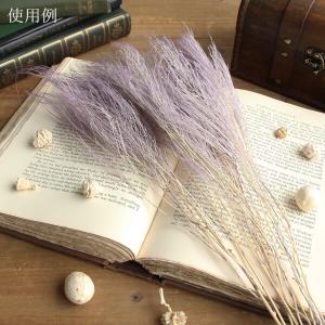 【40%OFF】 ドライフラワー 花材 即日出...の詳細画像5