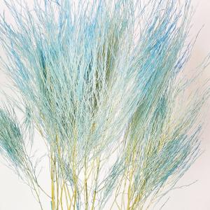 ドライフラワー 花材 即日出荷 【40%OFF...の詳細画像1