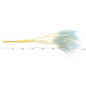 ドライフラワー 花材 即日出荷 【40%OFF...の詳細画像2