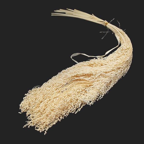 ドライフラワー 花材 即日出荷 GPキビ ホワイト 穂 ドライフラワー スワッグ ブーケ ドライフラ...