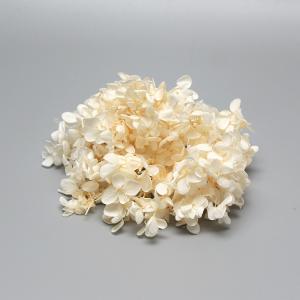 プリザーブドフラワー 花材 即日出荷 ピラミッドアジサイ・ヘッド