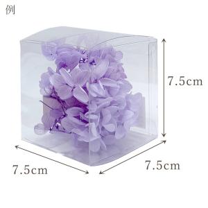 プリザーブドフラワー 花材 即日出荷 ピラミッ...の詳細画像2