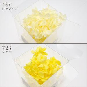 プリザーブドフラワー 花材 即日出荷 ピラミッ...の詳細画像4