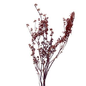 【40%OFF】 プリザーブドフラワー 花材 即...の商品画像