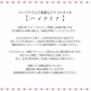 ★即日出荷★送料無料★ ハーバリウム 【ハイク...の詳細画像1