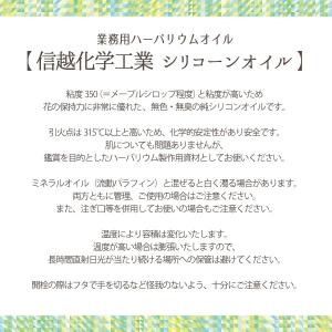 ★即日出荷★送料無料★【ハーバリウム】シリコン...の詳細画像1