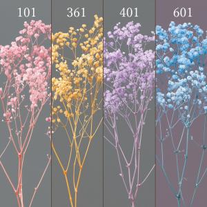 【P5倍中 7/14 9:59まで】 プリザーブドフラワー 花材 とりよせ品 カスミ草・オーバータイム 花材 素材 材料 パーツ ドライフラワー かすみ 紫 大地農園