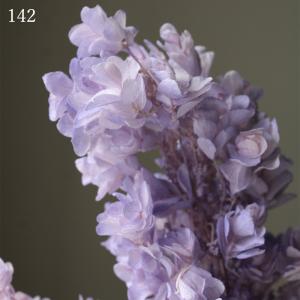 プリザーブドフラワー 花材 とりよせ品 カシワ...の詳細画像1