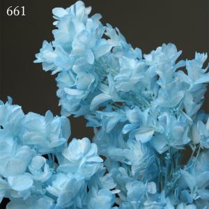 プリザーブドフラワー 花材 とりよせ品 カシワ...の詳細画像3