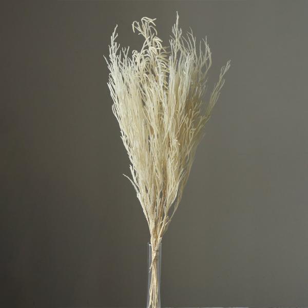 プリザーブドフラワー 花材 とりよせ品 ロングタチカズラ 花材 素材 材料 パーツ 白 ホワイト 白...