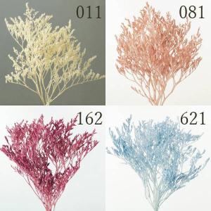 ドライフラワー 花材 とりよせ品 タタリカ ドラ...の商品画像