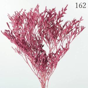 ドライフラワー 花材 とりよせ品 タタリカ ド...の詳細画像4