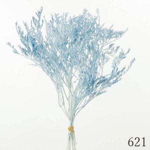 ドライフラワー 花材 とりよせ品 タタリカ ド...の詳細画像5