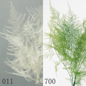 プリザーブドフラワー 花材 即日出荷 カスミ草・オーバータイム 白