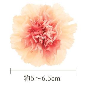 プリザーブドフラワー 花材 とりよせ品 カーネ...の詳細画像1