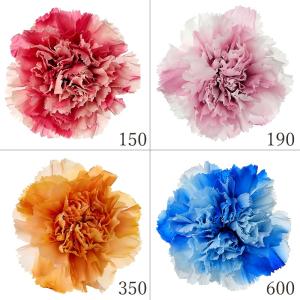 プリザーブドフラワー 花材 即日出荷 マウンテンジュニパー グリーン