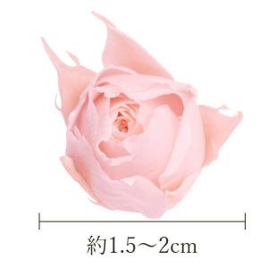 プリザーブドフラワー 花材 とりよせ品 スージ...の詳細画像2