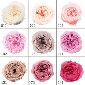 プリザーブドフラワー 花材 とりよせ品 ローズ・ミミ(1箱9輪入り