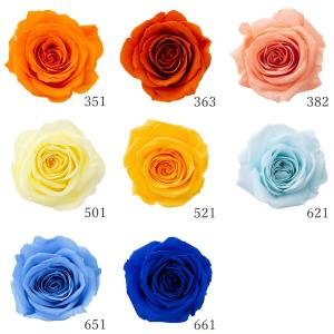 プリザーブドフラワー 花材 とりよせ品 マイクロローズ(1箱20輪入り