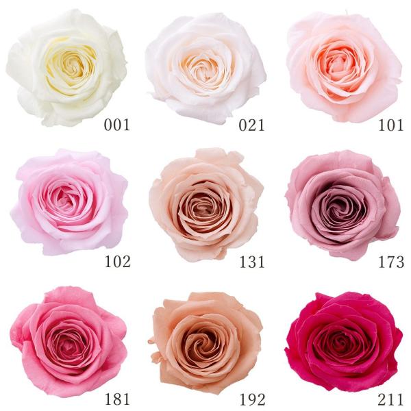 プリザーブドフラワー 花材 とりよせ品 ローズ・サラ(9輪入り) ドライフラワー 花材 素材 パーツ...