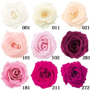 プリザーブドフラワー 花材 とりよせ品 シャーロット(1箱12輪入り) ドライフラワー 花材 素材 パーツ 材料 ローズ ハーバリウム プリ Preserving 大地農園
