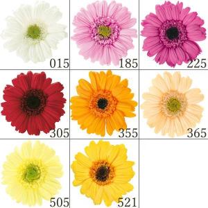 プリザーブドフラワー 花材 とりよせ品 ガーベラ...の商品画像