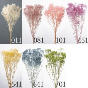 《ドライフラワー 花材》とりよせ品大地農園 モリソニア