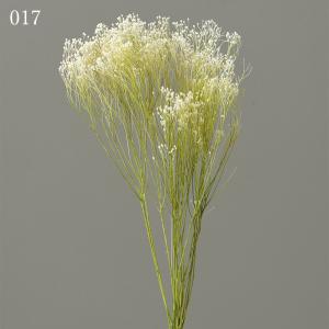 プリザーブドフラワー 花材 とりよせ品 モリソ...の詳細画像1