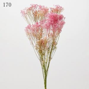 プリザーブドフラワー 花材 とりよせ品 モリソ...の詳細画像2