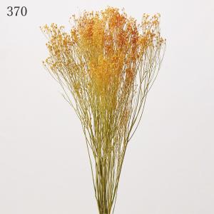 プリザーブドフラワー 花材 とりよせ品 モリソ...の詳細画像3