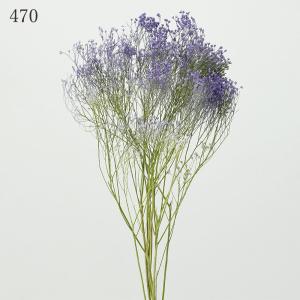 プリザーブドフラワー 花材 とりよせ品 モリソ...の詳細画像4