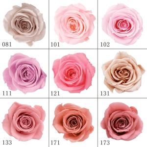 プリザーブドフラワー 花材 とりよせ品 ローズ・いずみ(1箱9輪入り) ドライフラワー 花材 素材 パーツ 材料 ローズ ハーバリウム プリ バラ 薔薇 大地農園｜造花ドライフラワー専門問屋花びし